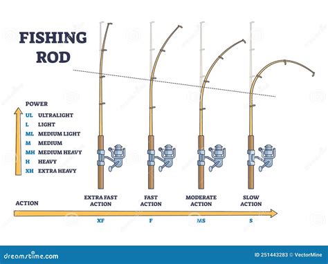 fishing rod power vs action